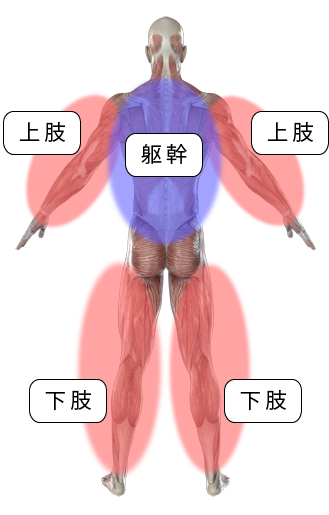 料金のしくみ 杉並区荻窪の訪問在宅マッサージ おぎくぼ針灸院